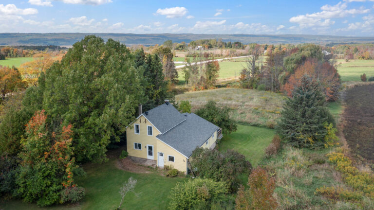 355695BlueMtnsEuphrasiaTownline07 › Kianna Sunshine Photography